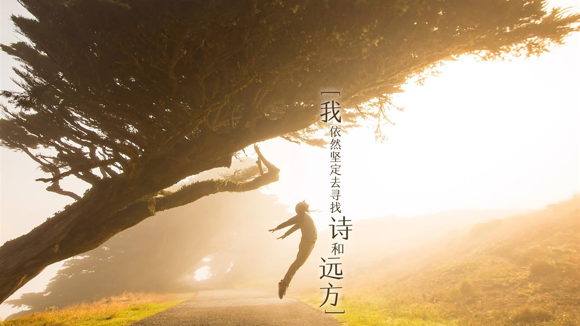 世界举重青训营康复训练成果汇编与实践指南，2021年世界举重比赛视频